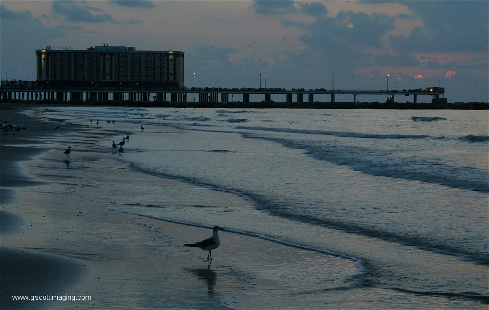 (15) Dscf0034.jpg   (1000x634)   236 Kb                                    Click to display next picture