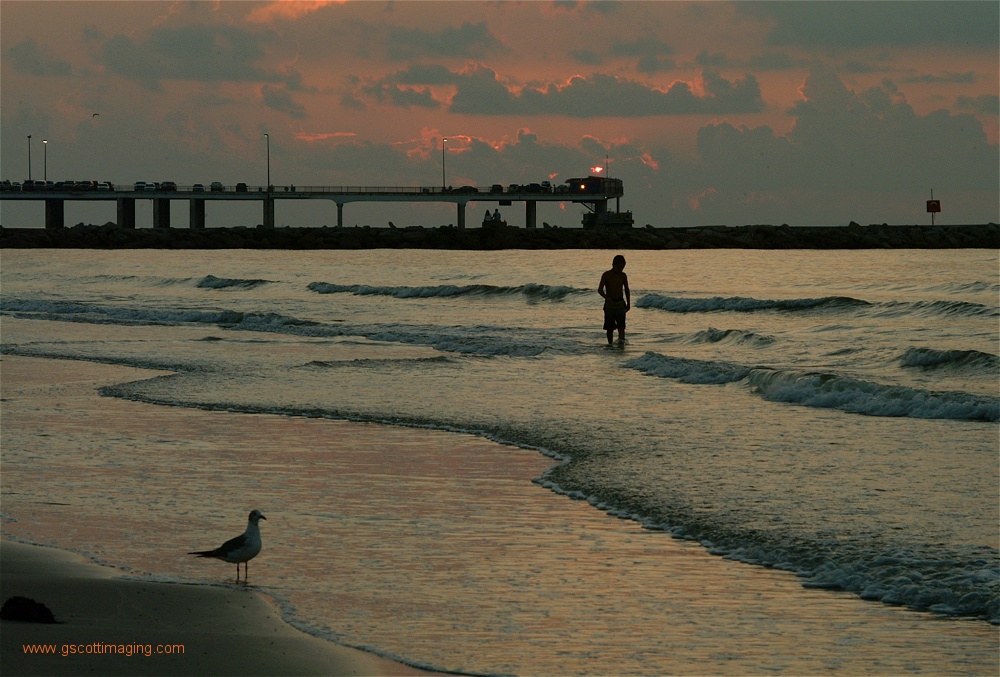 (19) Dscf0045.jpg   (1000x677)   245 Kb                                    Click to display next picture