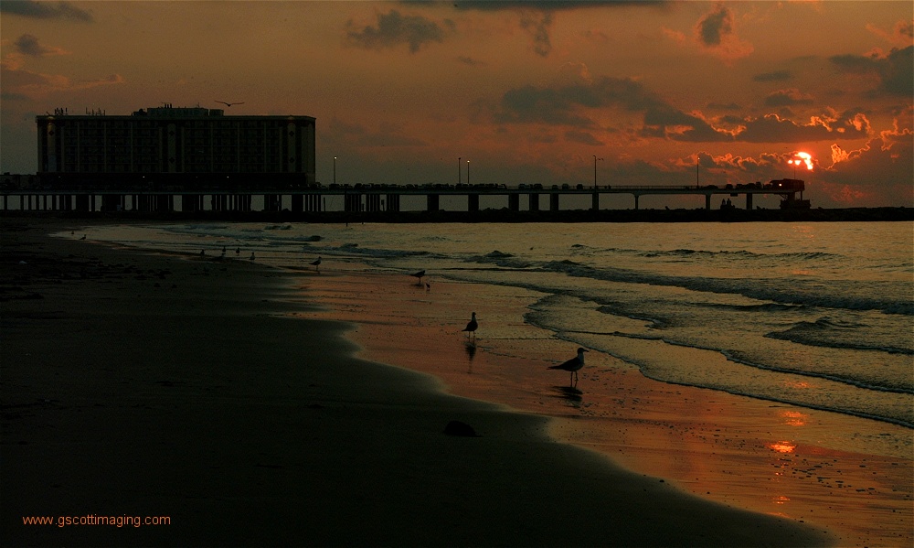 (25) Dscf0054.jpg   (1000x599)   200 Kb                                    Click to display next picture