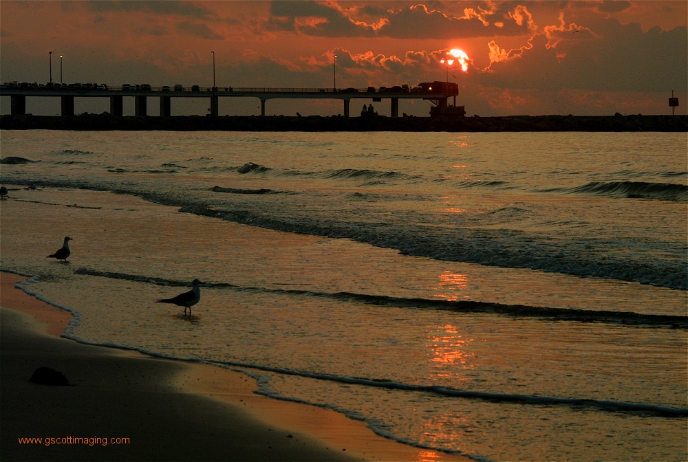 (26) Dscf0055.jpg   (1000x672)   263 Kb                                    Click to display next picture