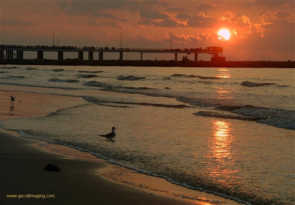 (32) Dscf0061.jpg   (1000x693)   276 Kb                                    Click to display next picture