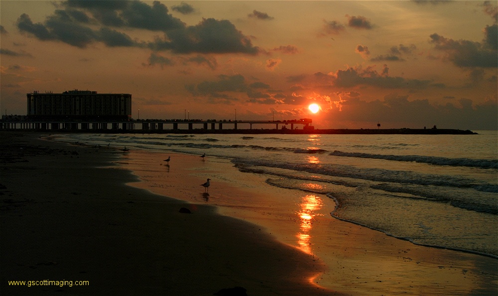 (35) Dscf0064.jpg   (1000x595)   194 Kb                                    Click to display next picture