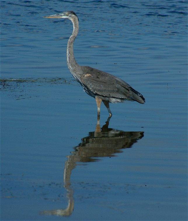 (04) Dscf8010.jpg   (644x760)   152 Kb                                    Click to display next picture