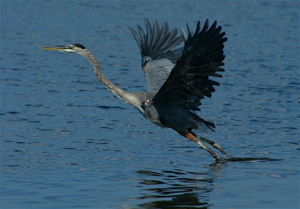 (19) Dscf8025.jpg   (1000x697)   251 Kb                                    Click to display next picture