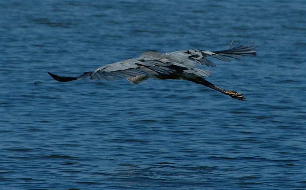 (24) Dscf8030.jpg   (1000x623)   206 Kb                                    Click to display next picture