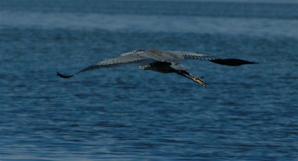 (26) Dscf8033.jpg   (1000x542)   171 Kb                                    Click to display next picture