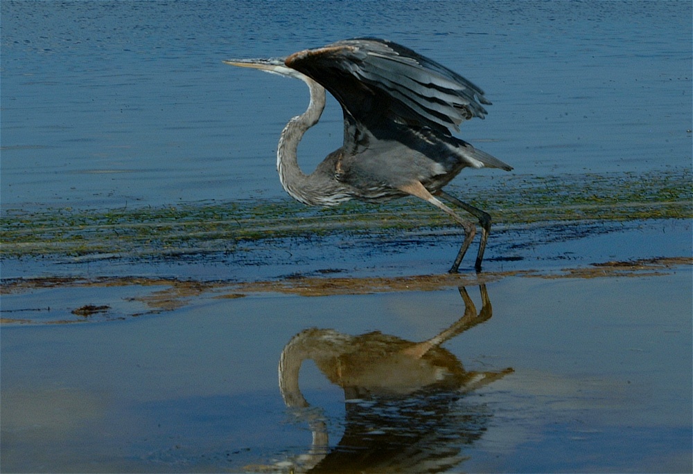 (40) Dscf8047.jpg   (1000x685)   244 Kb                                    Click to display next picture