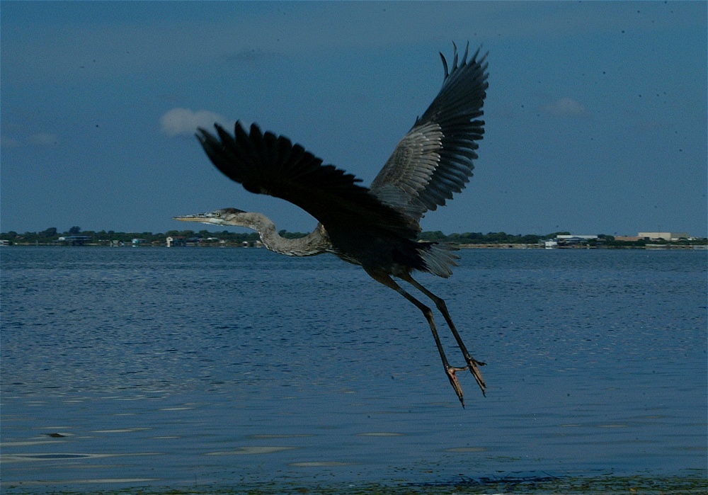 (41) Dscf8048.jpg   (1000x699)   240 Kb                                    Click to display next picture