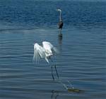 (59) Dscf8068.jpg    (806x760)    232 KB                              click to see enlarged picture