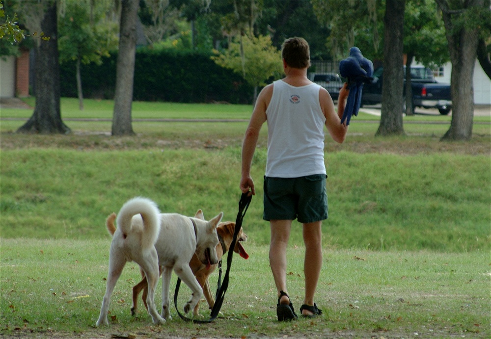 (01) Dscf8085.jpg   (1000x691)   265 Kb                                    Click to display next picture