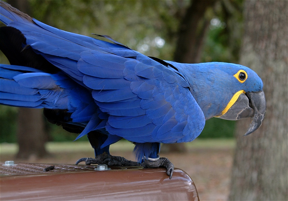 (19) Dscf8068.jpg   (1000x697)   240 Kb                                    Click to display next picture