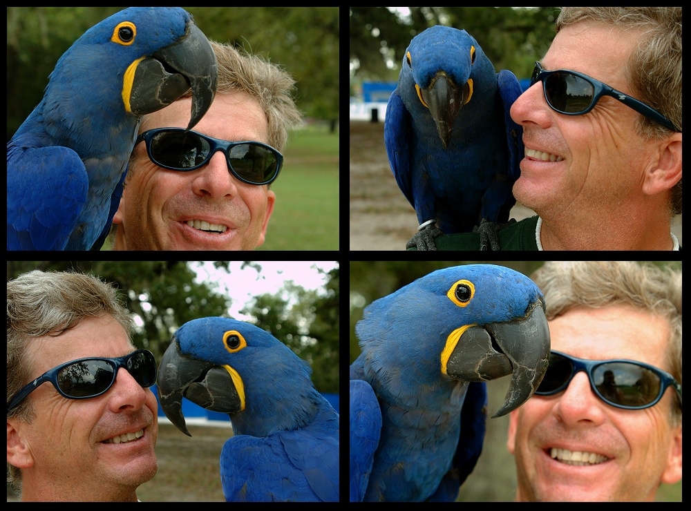 (22) bubba montage.jpg   (1000x740)   310 Kb                                    Click to display next picture