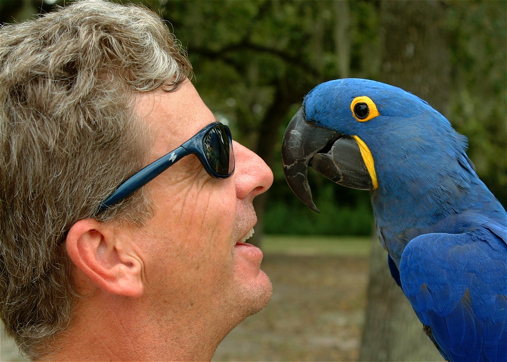 (23) Dscf8079.jpg   (1000x714)   319 Kb                                    Click to display next picture