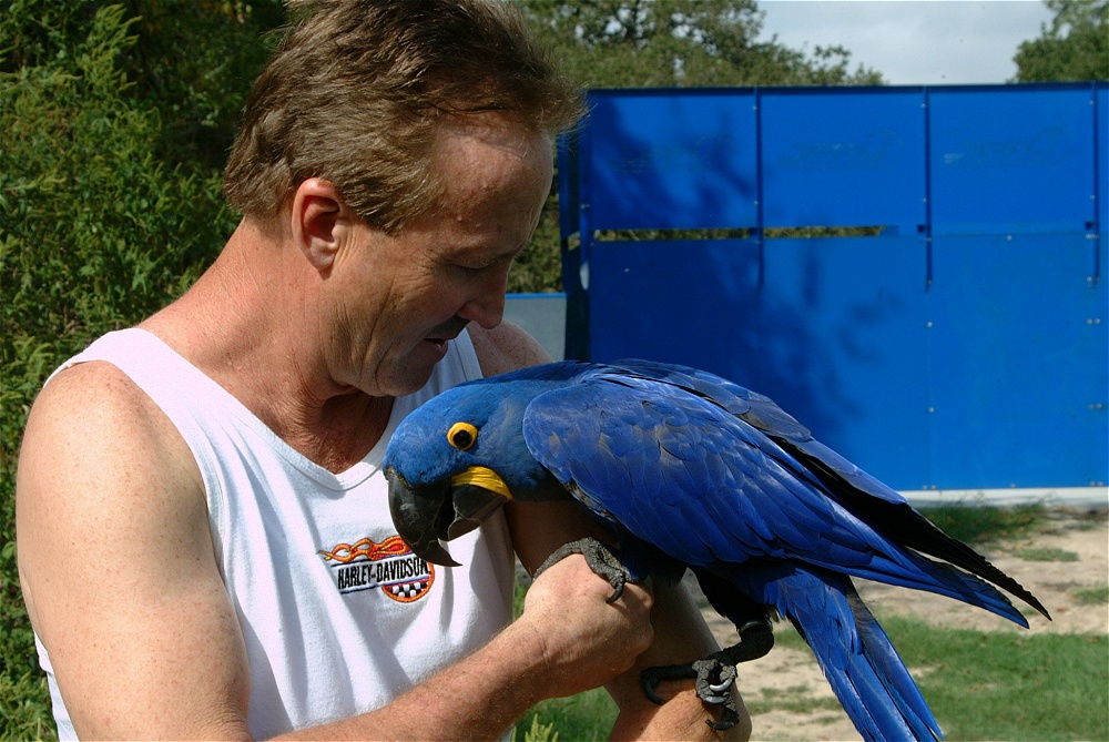 (29) Dscf4002.jpg   (1000x669)   275 Kb                                    Click to display next picture