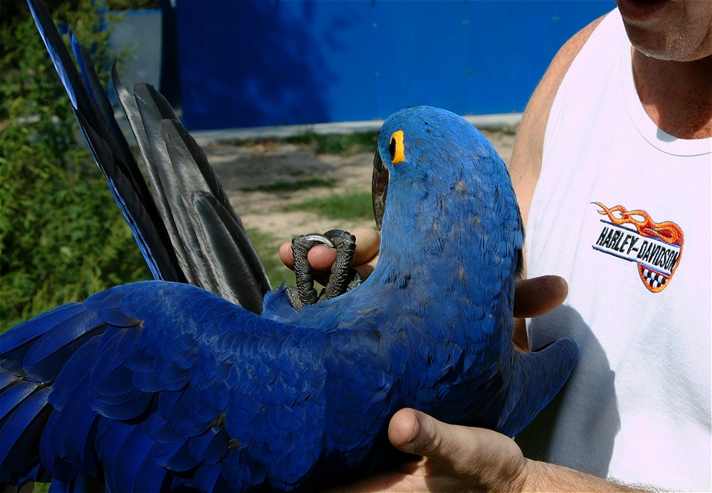 (30) Dscf4003.jpg   (1000x692)   272 Kb                                    Click to display next picture