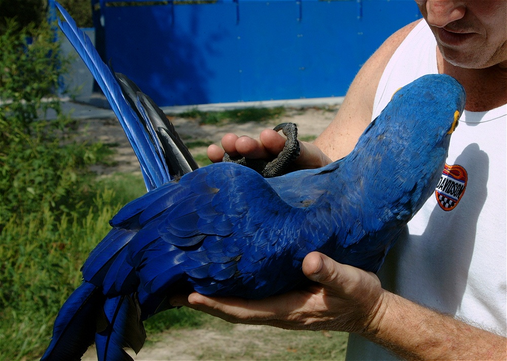 (31) Dscf4004.jpg   (1000x712)   283 Kb                                    Click to display next picture