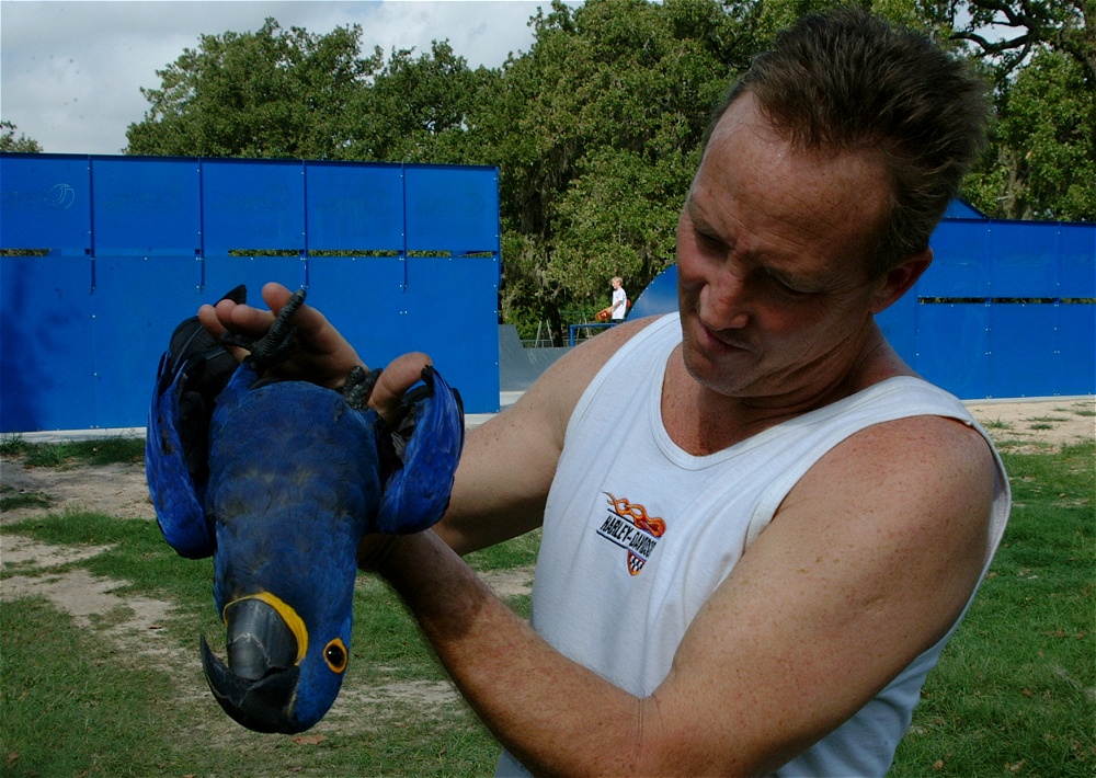 (33) Dscf4006.jpg   (1000x710)   311 Kb                                    Click to display next picture