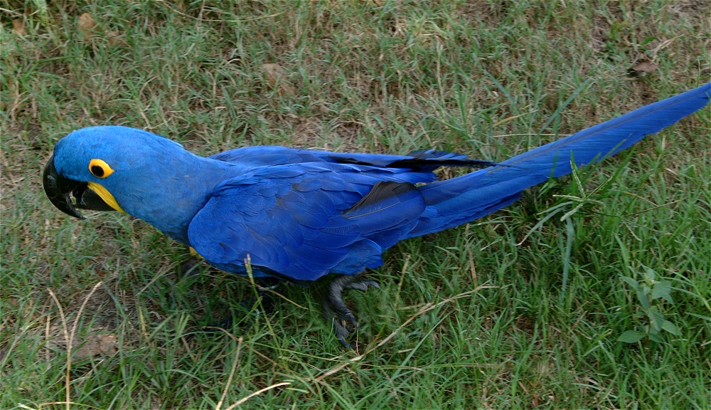 (40) Dscf4019.jpg   (1000x576)   337 Kb                                    Click to display next picture