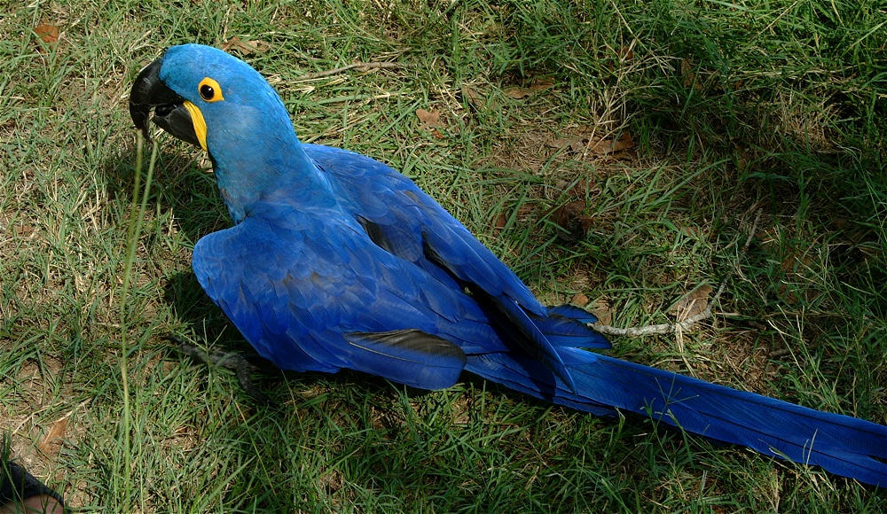 (41) Dscf4020.jpg   (1000x580)   432 Kb                                    Click to display next picture