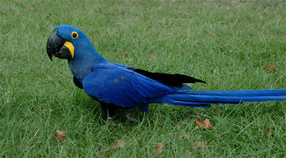 (42) Dscf4022.jpg   (1000x554)   299 Kb                                    Click to display next picture