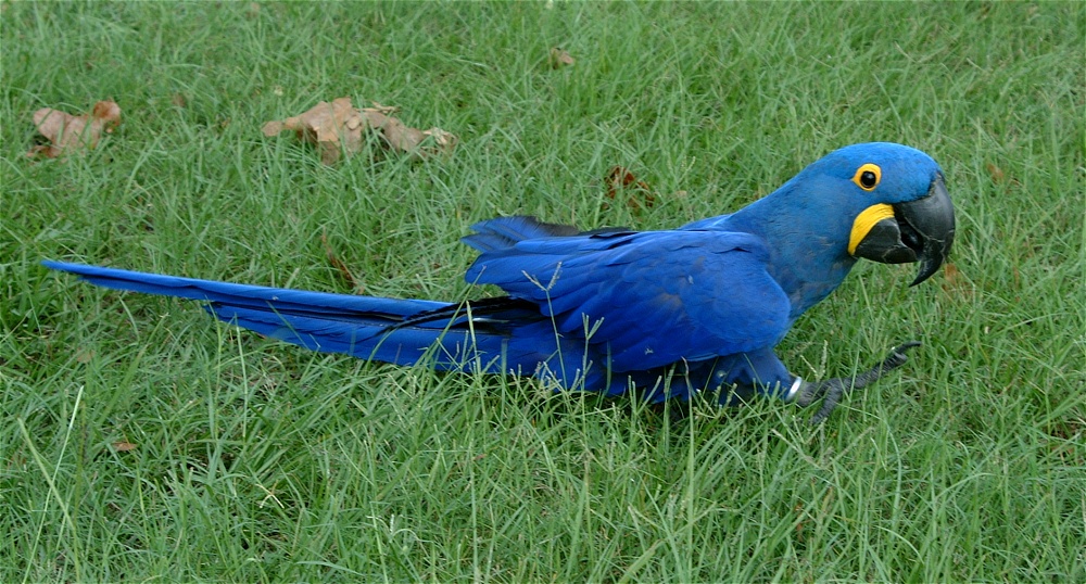 (48) Dscf4030.jpg   (1000x538)   312 Kb                                    Click to display next picture