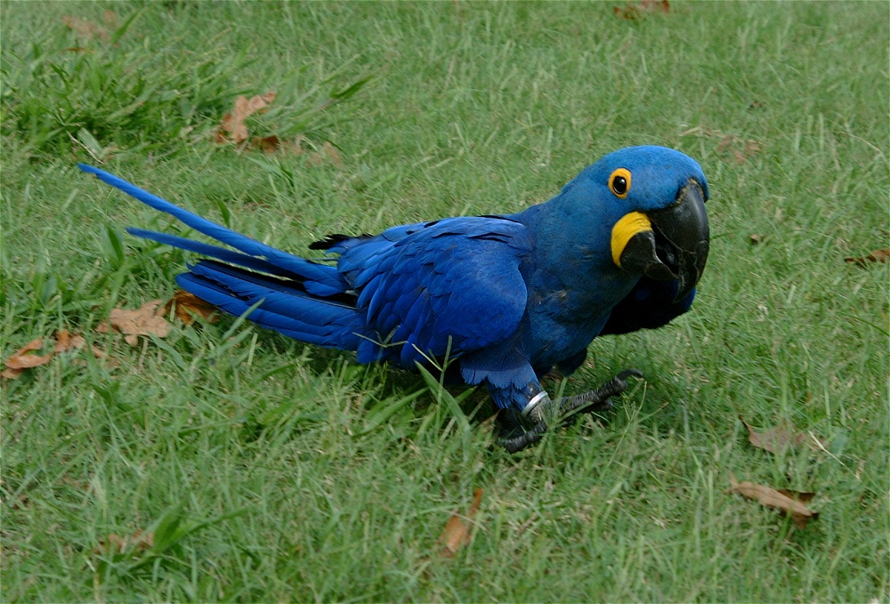 (49) Dscf4034.jpg   (1000x679)   321 Kb                                    Click to display next picture