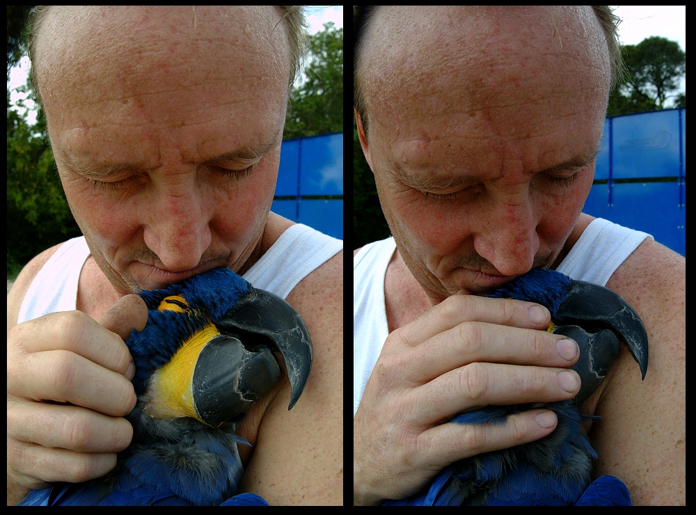 (58) bubba montage.jpg   (1000x740)   311 Kb                                    Click to display next picture