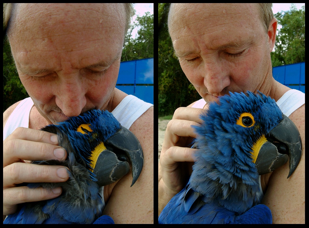 (59) bubba montage.jpg   (1000x740)   306 Kb                                    Click to display next picture