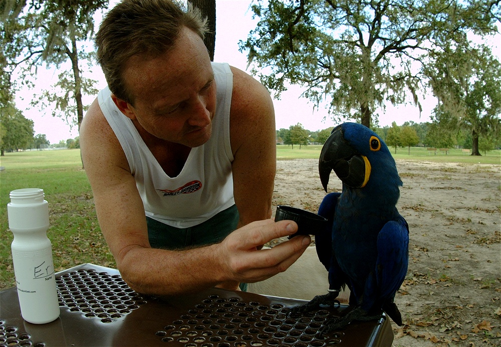 (60) Dscf4065.jpg   (1000x693)   375 Kb                                    Click to display next picture