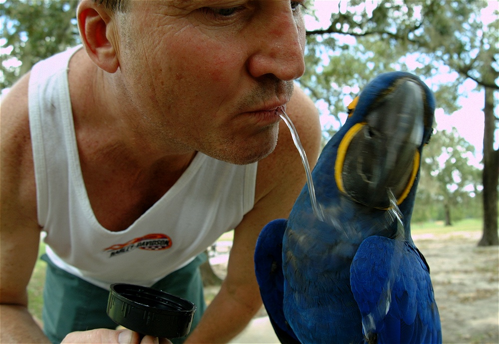 (61) Dscf4069.jpg   (1000x691)   253 Kb                                    Click to display next picture