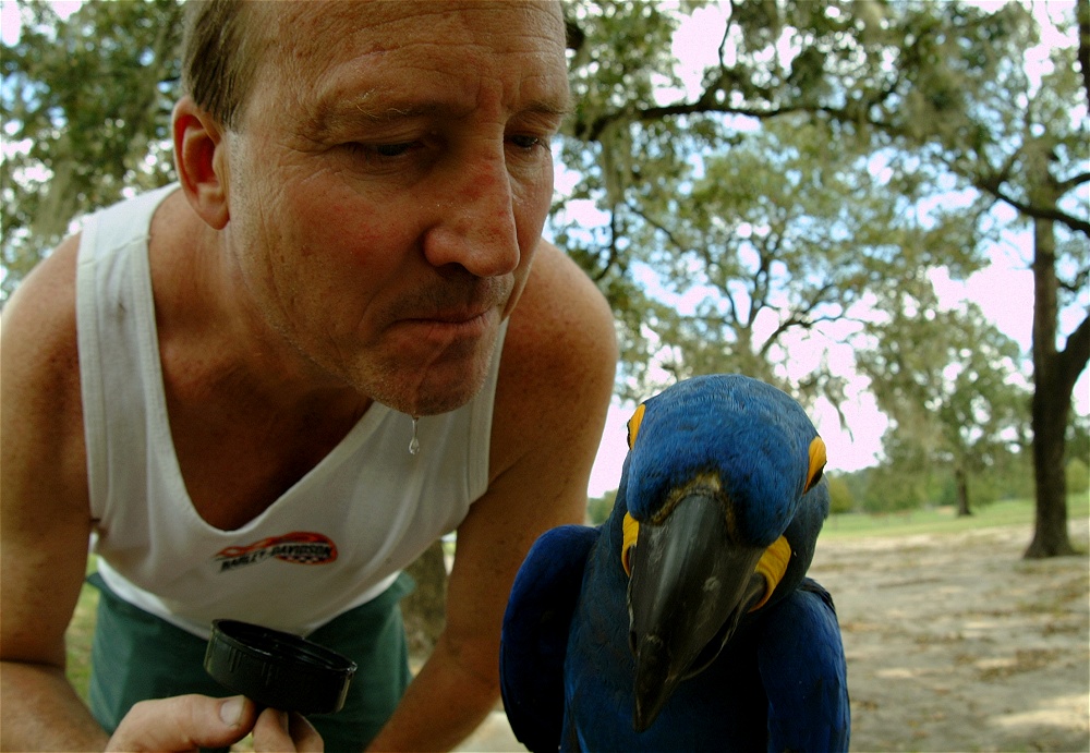 (63) Dscf4071.jpg   (1000x691)   265 Kb                                    Click to display next picture