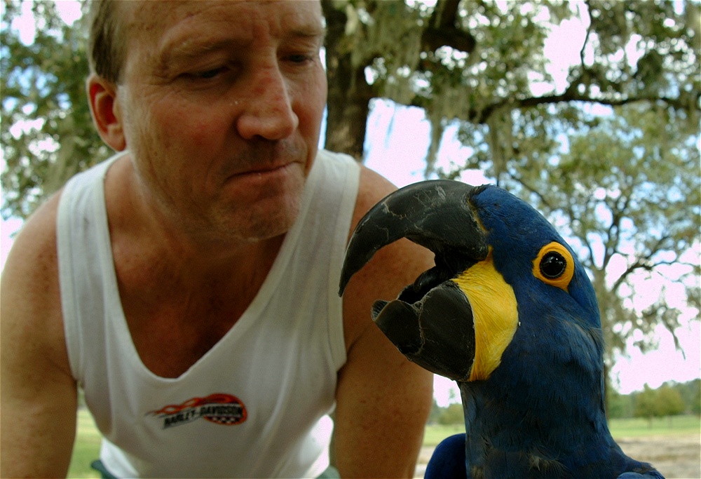 (64) Dscf4072.jpg   (1000x683)   249 Kb                                    Click to display next picture