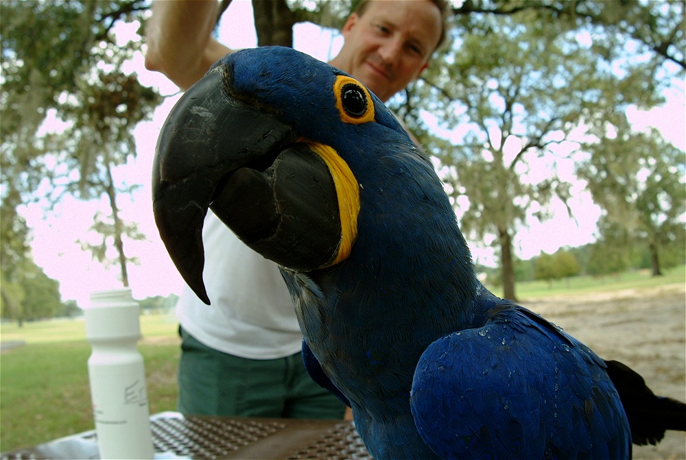 (66) Dscf4078.jpg   (1000x671)   260 Kb                                    Click to display next picture