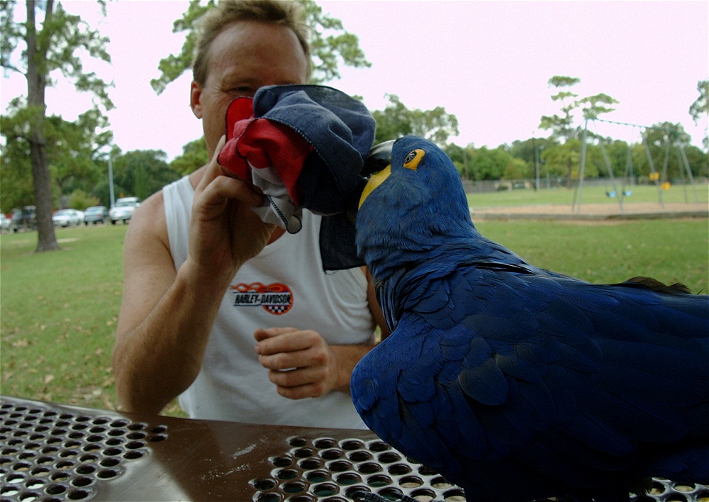 (70) Dscf4124.jpg   (1000x708)   256 Kb                                    Click to display next picture