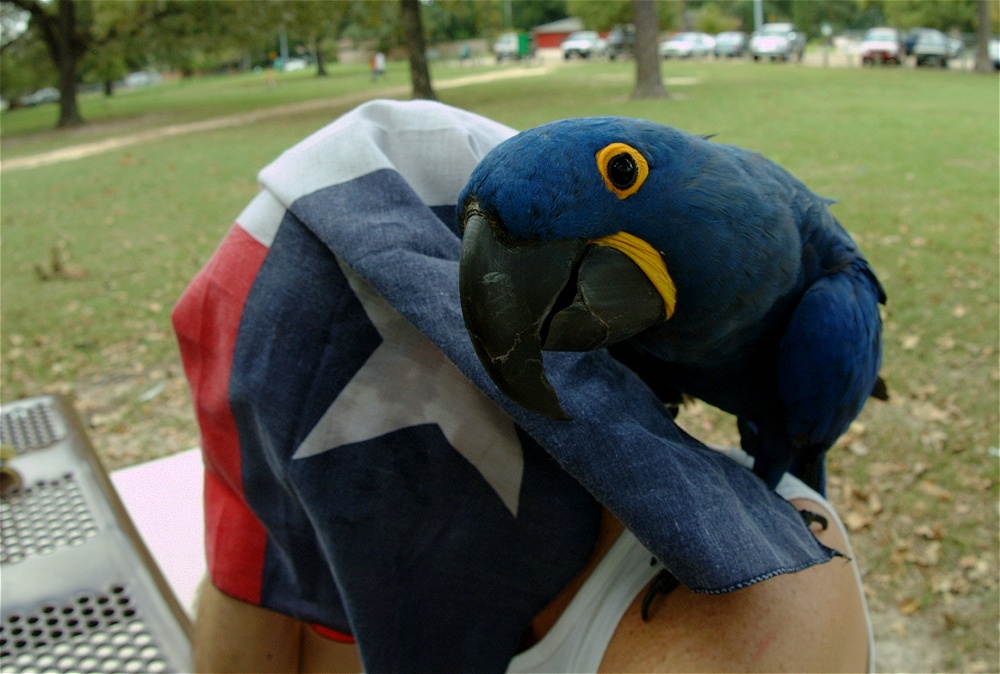 (71) Dscf4121.jpg   (1000x674)   215 Kb                                    Click to display next picture