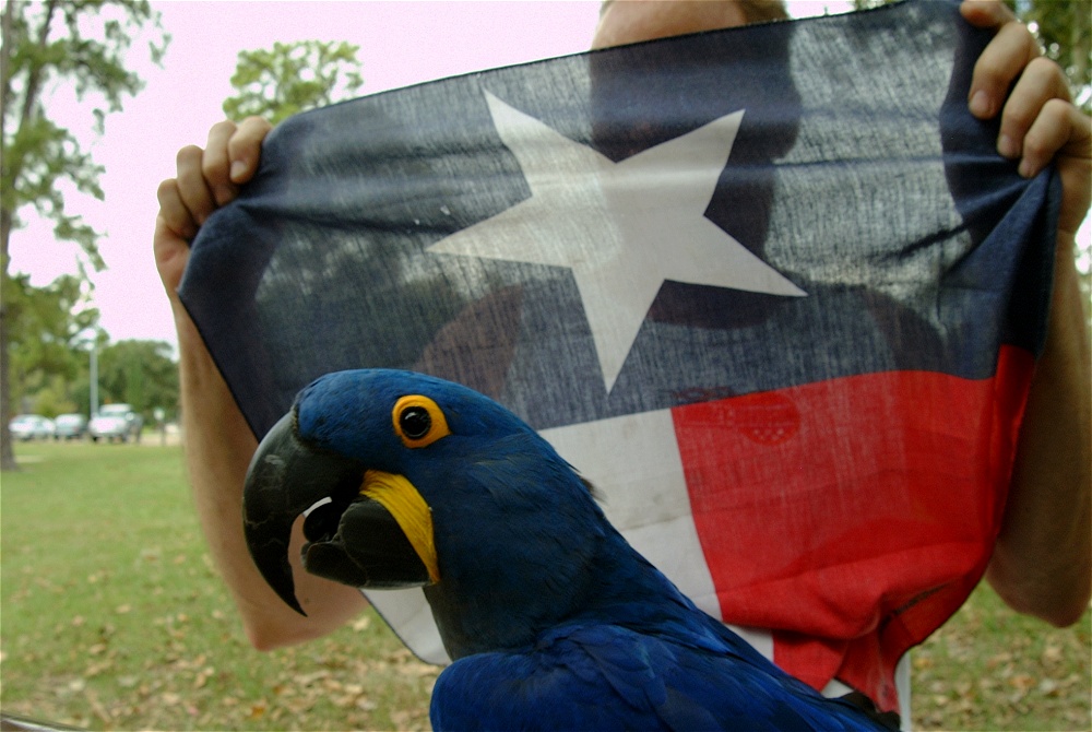 (72) Dscf4108.jpg   (1000x670)   225 Kb                                    Click to display next picture