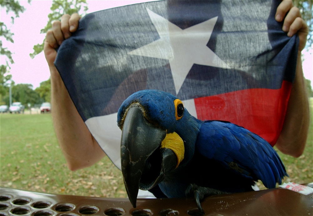 (73) Dscf4109.jpg   (1000x690)   230 Kb                                    Click to display next picture