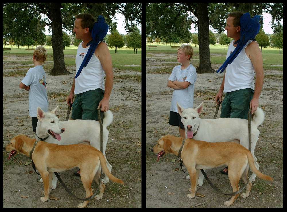 (01) bubba montage.jpg   (1000x740)   415 Kb                                    Click to display next picture