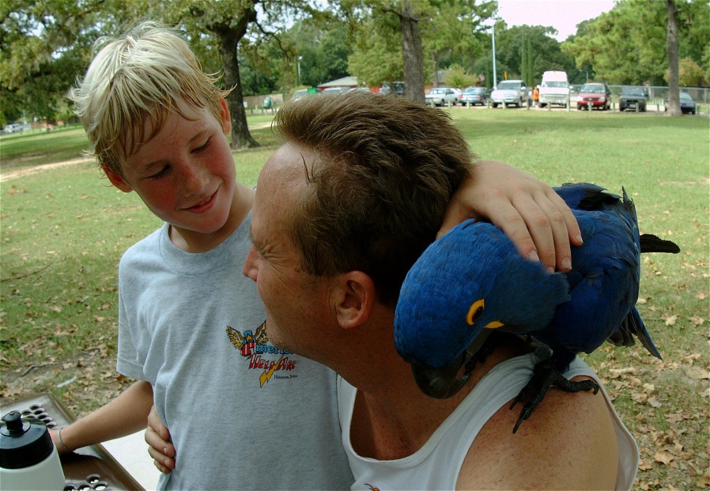 (05) Dscf4180.jpg   (1000x691)   333 Kb                                    Click to display next picture