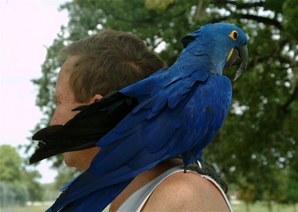 (19) Dscf3046.jpg   (1000x712)   255 Kb                                    Click to display next picture