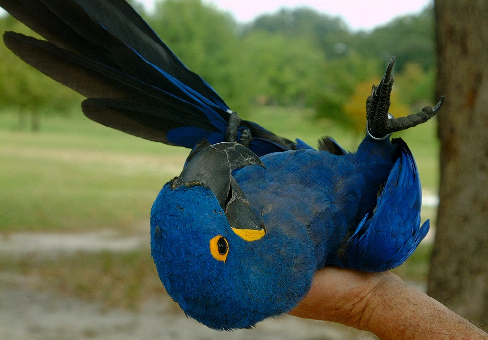 (24) Dscf3084.jpg   (1000x696)   232 Kb                                    Click to display next picture