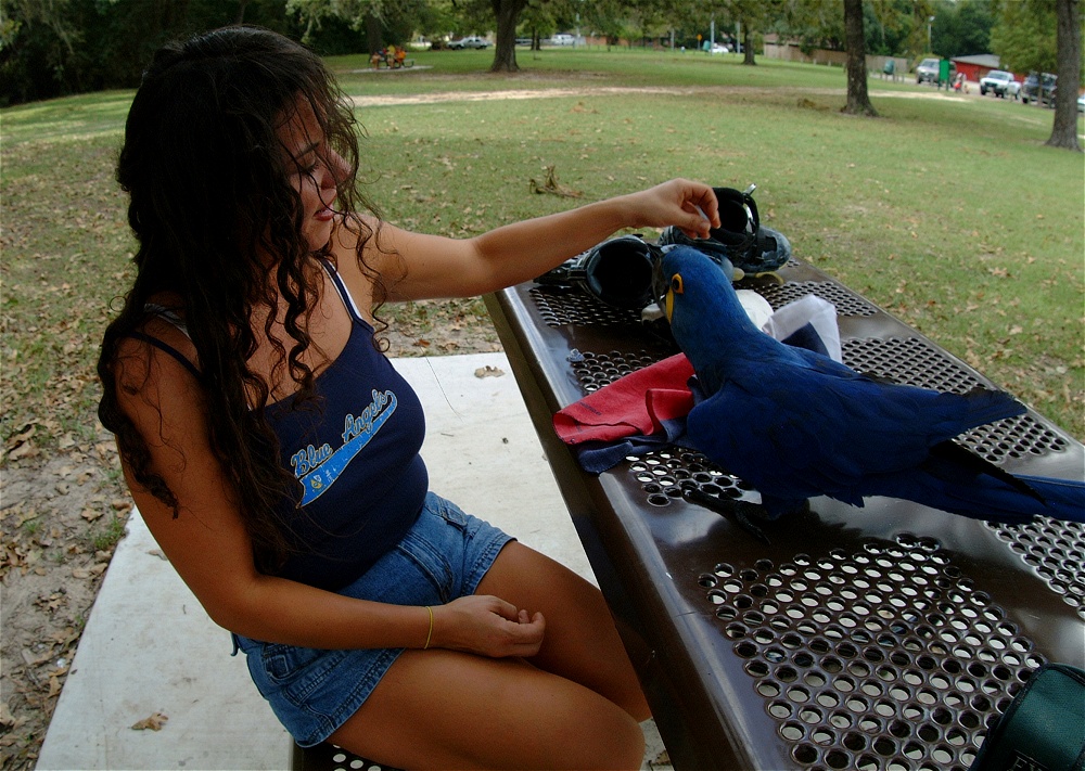 (01) Dscf4125.jpg   (1000x711)   333 Kb                                    Click to display next picture