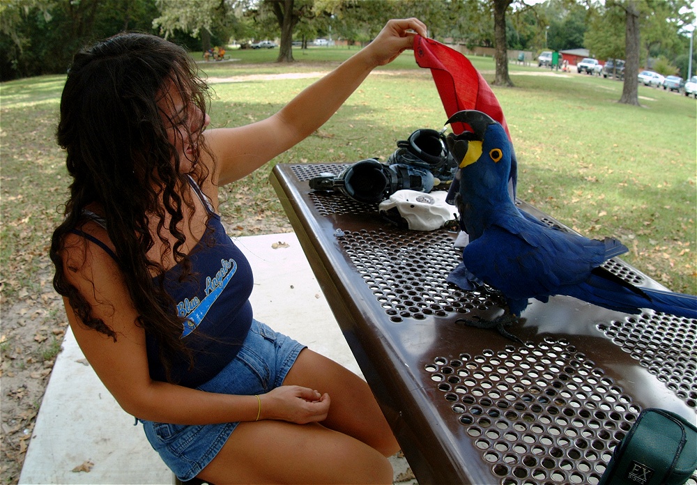 (02) Dscf4126.jpg   (1000x696)   350 Kb                                    Click to display next picture