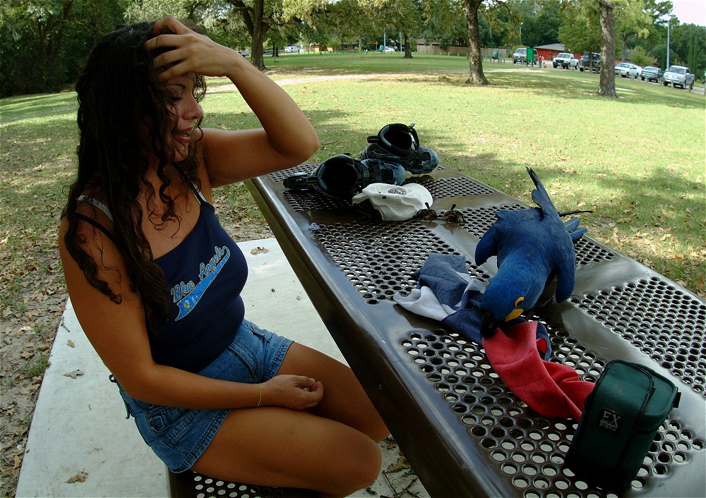 (03) Dscf4127.jpg   (1000x706)   401 Kb                                    Click to display next picture