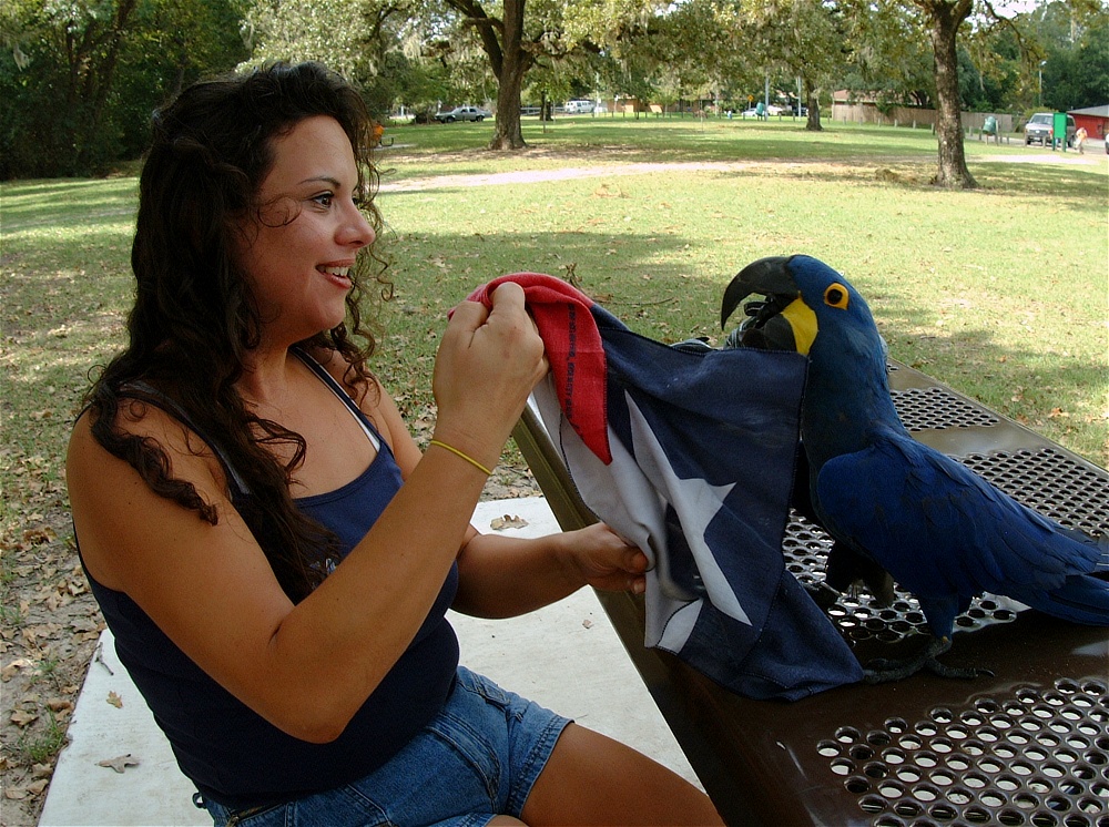 (05) Dscf4129.jpg   (1000x746)   388 Kb                                    Click to display next picture