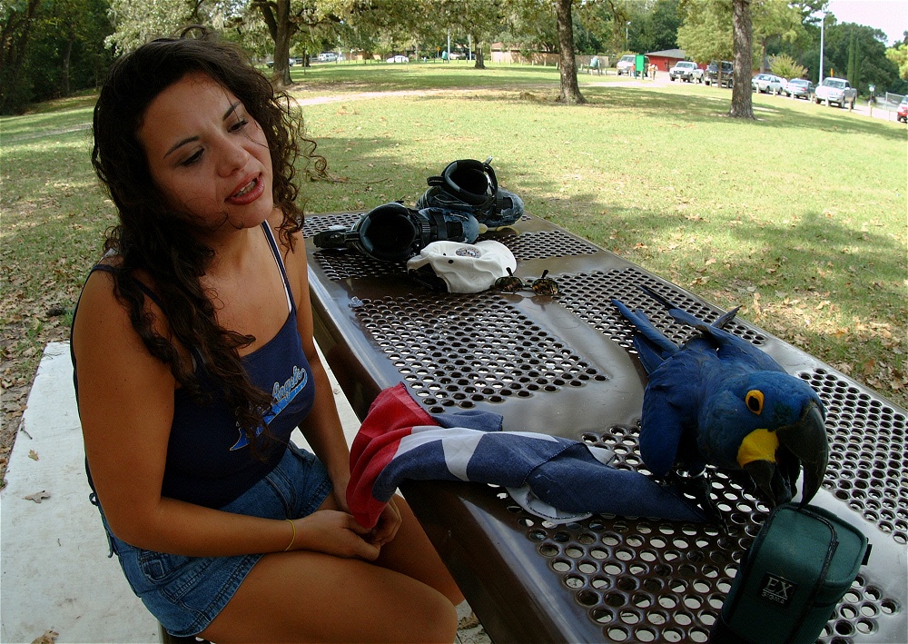 (07) Dscf4131.jpg   (1000x709)   404 Kb                                    Click to display next picture