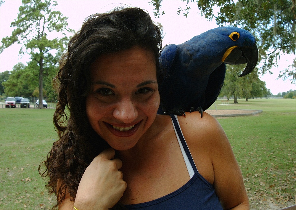 (08) Dscf4148.jpg   (1000x709)   316 Kb                                    Click to display next picture