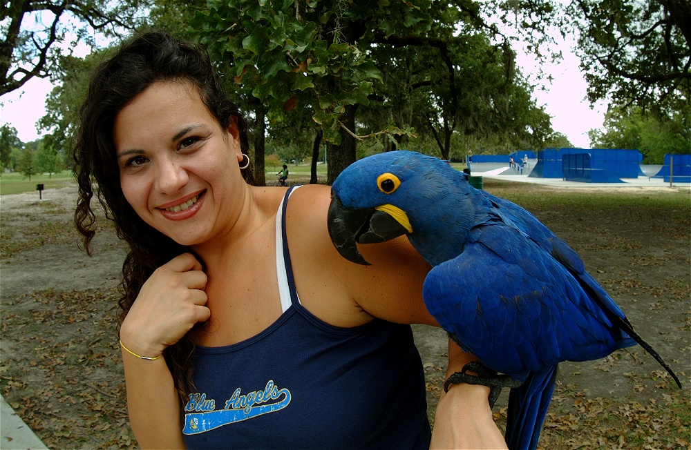 (09) Dscf4149.jpg   (1000x652)   347 Kb                                    Click to display next picture