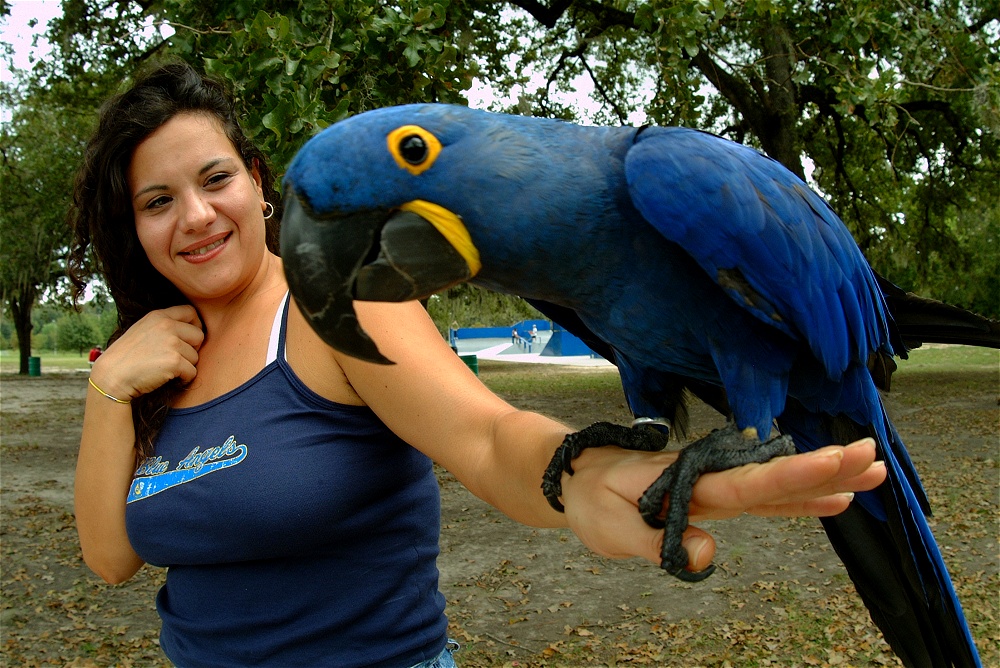 (10) Dscf4150.jpg   (1000x668)   340 Kb                                    Click to display next picture