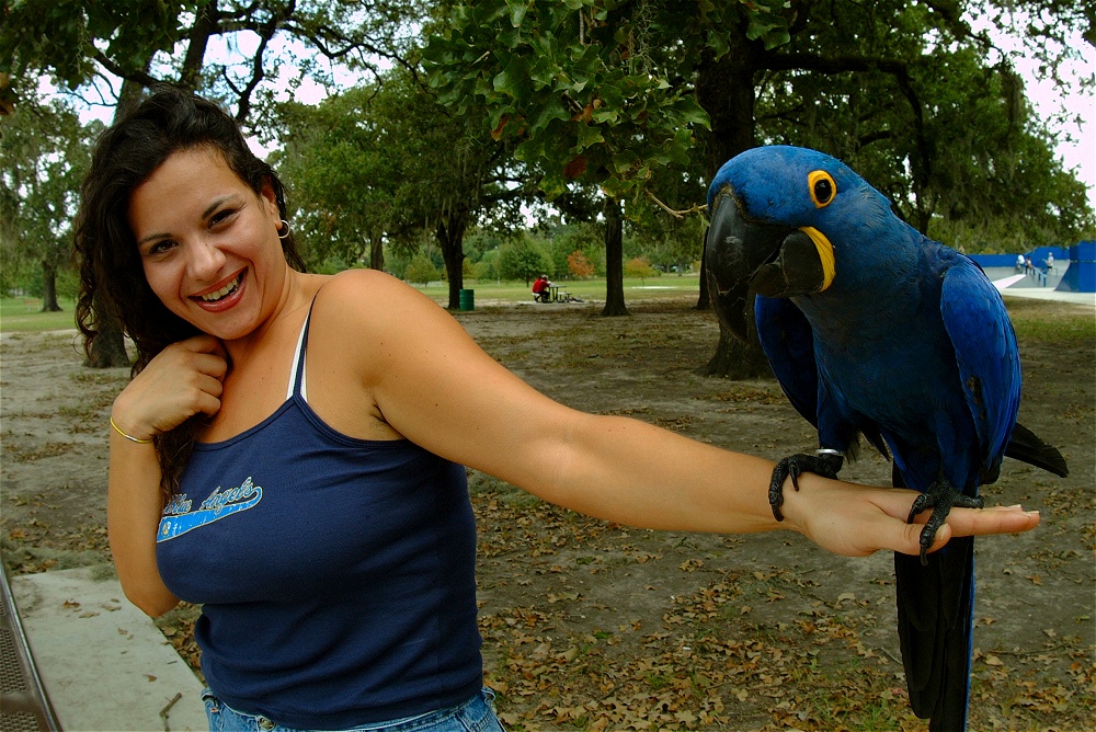 (11) Dscf4151.jpg   (1000x668)   360 Kb                                    Click to display next picture